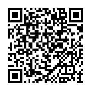 库森看着一字排开在电梯门前的三十几个黑衣人二维码生成