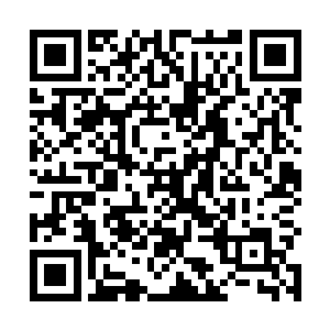 应是三伯母蒋氏正在同伯祖母商量长平侯府的亲事之时二维码生成