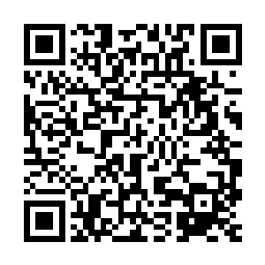 应该从应届毕业生中选调大学中文系毕业的学生进公安队伍锻炼二维码生成