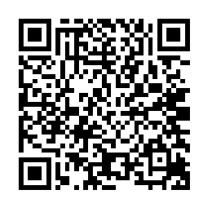 应该是大量的佛光激活了降魔宝杵这件准大罗法器的部分威名二维码生成