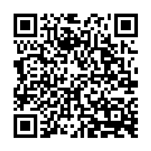 应该是把第四种妖族血脉跟其他血脉完全融合在一起了吧二维码生成