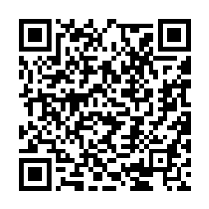 应该说牟晨菲从来没有在商业上挑战过父亲的权威二维码生成