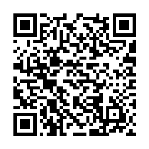府办主任桂刚指挥着信访办的同志及时出现在楼底二维码生成