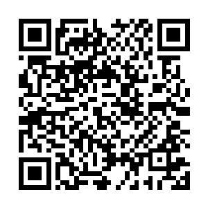 座无虚席的放映厅内经常就是这样两种声音在来回切换二维码生成