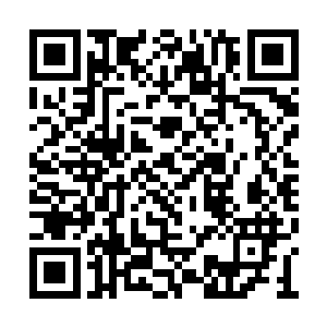 康里立刻学起了狼嚎手上的动作不由的快了几分二维码生成