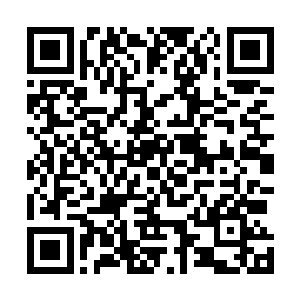 廖化和张苞仿佛看到了一只色彩斑斓的九天玄鸟张翼冲起二维码生成