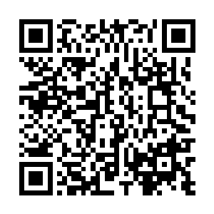 开始从头到尾仔细地回想这次重返古都盗宝的决策过程二维码生成