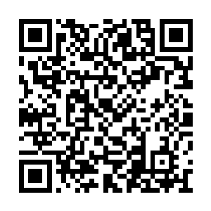 开始用自己孩儿国的语言叽里咕噜的和小熊说话二维码生成