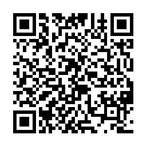 开始绝地反击……然后他再也没有赢的机会……最后二维码生成