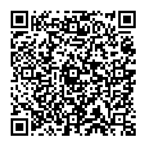 开始遭遇国内电影市场初步放开以来的第二次寒冬――很多国产片的票房都是大幅度低于预期二维码生成
