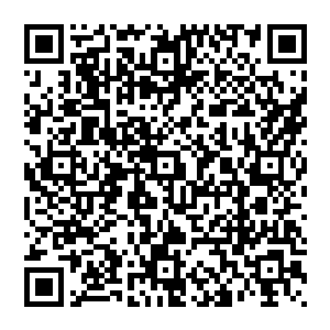 开船这东西别说是马特了连甲板上混海的齐一铭都会但是想要开的好把握的住那整条船上没有比的过贝海去二维码生成