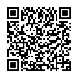 开门的是夏云杰给杨肖玫物色的俄罗斯美女保镖塔提亚娜二维码生成