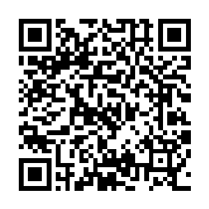 弃道人的这手掌下一刻便是来到了黑暗议会的三位巨头身前二维码生成