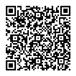 引得方圆数里内的天地灵气都要沸腾了似的……这是从三阶步入四阶……呃……你……二维码生成