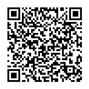 引起了前面高粱地中间的那条两米宽的路的路面上也出现了一丝波动二维码生成