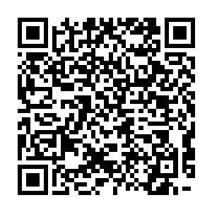 张东城和汉斯・季默两人近乎从头到尾的把黑客帝国的电影梳理了一遍二维码生成