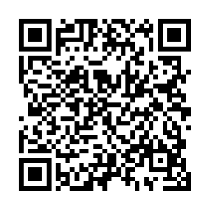 张东城就看到尼古拉斯正在和阿达曼两人偷偷商量着什么二维码生成