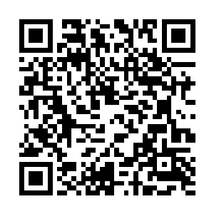 张东城无奈地看着这些用各种武器把自己击毙的演员们二维码生成