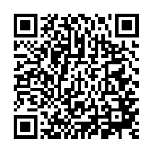 张东城片刻不停的开始和伯顿一起为黑客帝国的后期制作忙碌二维码生成