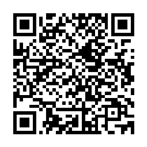 张东城用诚挚的眼神看着面前这位自己在大学时代唯一的好友二维码生成