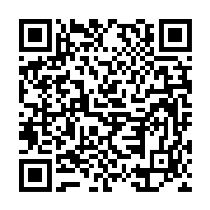 张东城这一次倒没有绝对的试镜还是试戏的区分了二维码生成