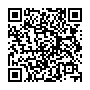 张东城除了在记者招待会上说了一个功夫是家传的之外二维码生成