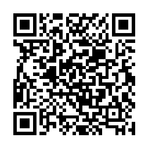 张卫华操纵着巨大的资产在海岛房地产亏得一塌糊涂二维码生成