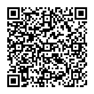 张天豪通过某种渠道看到省委常委会议纪要这些主要领导的评价之后也是兴奋不已二维码生成