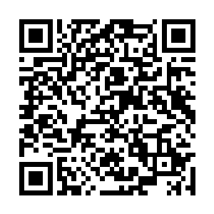 张太太对于这些重案组的警察一惊一乍感到不满意二维码生成