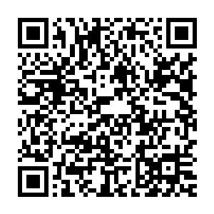 张太玄已经反反复复在不同的时辰和不同的环境之中检查了好几次二维码生成