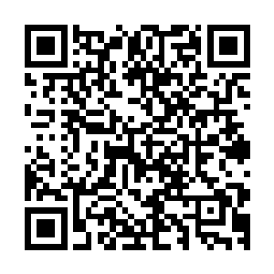 张孟辉和邵一平便是打着试一试的态度给宋诗薇打了一个电话二维码生成