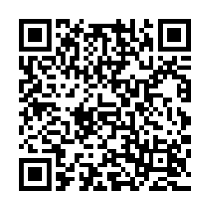 张德江说到后面的时候整个人的面部表情都变得狰狞了起来二维码生成