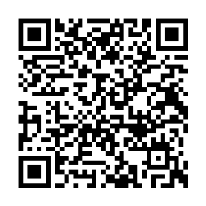 张成元千算万算都没算到半路杀出了一个程咬金二维码生成