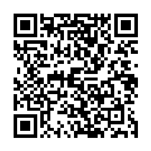张承泽张承雷几个小家伙趴在指挥舱中的光学成像装置面前二维码生成