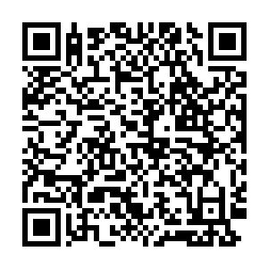 张毅率领华夏革命军一举全歼各国联军主力的消息在短短的时间内二维码生成