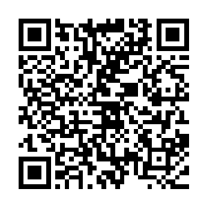 张海鹏和孙玉成都没有亲口告诉过他是为了田秀专门收拾他的二维码生成