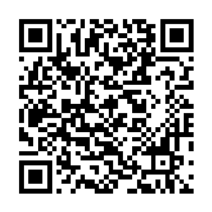 张潇晗完全可以在北寒山的山腹之内再开辟几个时间阵法二维码生成