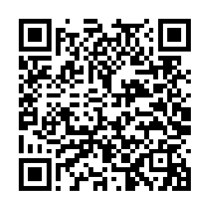 张潇晗就将所有得到的储物戒指和手镯全都拿出来二维码生成