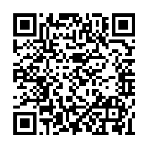 张潇晗根本没有抹去五行锁魂环中他的神识印记二维码生成