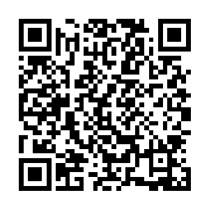 张生和标靶的距离比之比赛飞镖时的投掷线远了足足有一倍二维码生成