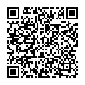 张生顺手将西餐厅老板刚刚亲手送到他手里的贵宾卡塞进了奥尔芭的精致小包里二维码生成