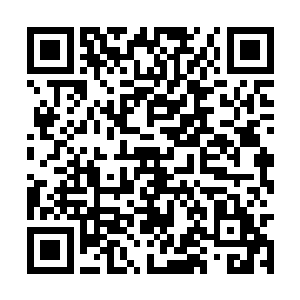 张茂全连忙把自家的和树木被盗伐的事情说了一遍二维码生成