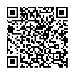 张萧晗不得不怀疑宋天宇接受张晓慧姐弟加入他的队伍的目的二维码生成