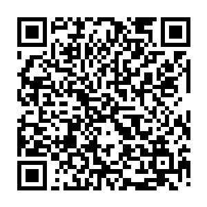 张萧晗就这样无意间闯入到了妖兽森林里的第一个禁区――荒芜沼泽的范围内二维码生成