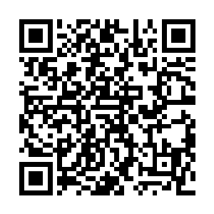 张蜀生不禁回想起这艘伏羲号核动力航空母舰的相关数据二维码生成