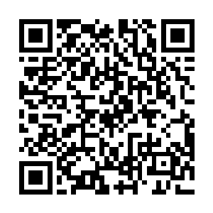张蜀生要做的不过是把这种白人内部的内讧和仇恨放大二维码生成