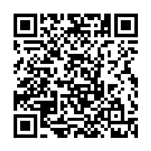 张铁也无需再用联姻这种手段再去结交什么门阀势力二维码生成