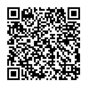 张铁也是以前在潜龙岛的时候看到过与此相关的大灾变之前的记载和图片二维码生成