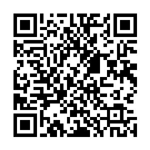 张铁从一个洞口被一堆藤类植物遮住大半的山洞里钻了出来二维码生成