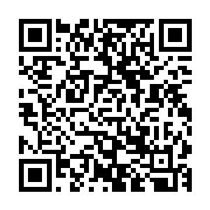 张铁已经明白了在第一颗野狼七力果出现时提示信息里面那句二维码生成